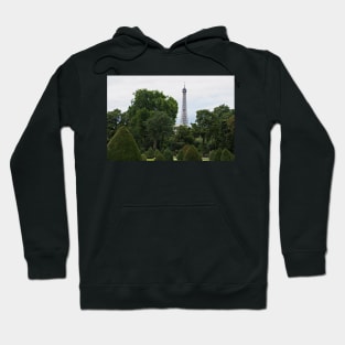 ETP_0288_WGC Hoodie